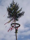 Kirchweihbaum