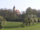Streuobst Pflegeaktion Simmelsdorf