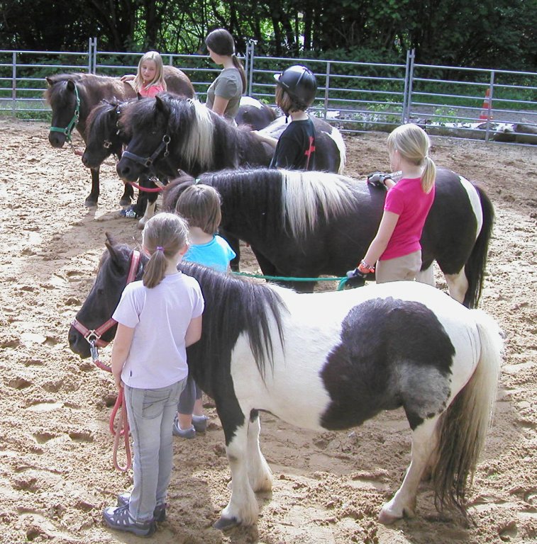 Ponyhof Utzmannsbach